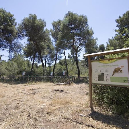 Villaggio Catalano Castellaneta Marina Dış mekan fotoğraf