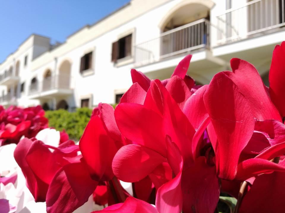 Villaggio Catalano Castellaneta Marina Dış mekan fotoğraf